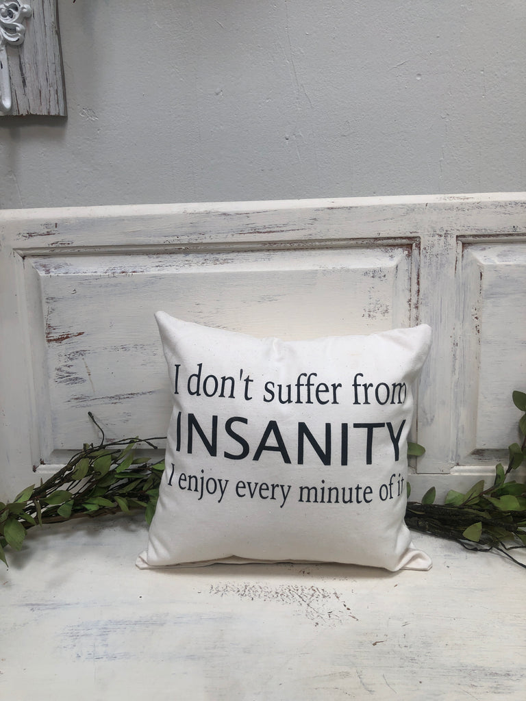Insanity 14" pillow, home decor, gift quote pillow
