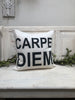 Carpe Diem 18" home decor, gift quote pillow